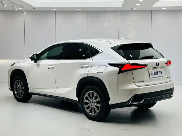 2020 Lexus NX 200 I Рестайлинг, белый, 2755000 рублей - вид 5
