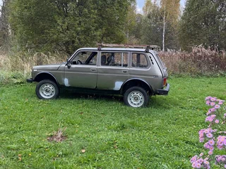 2002 Lada (ВАЗ) 2131 (4x4) I, серый, 120000 рублей, вид 3