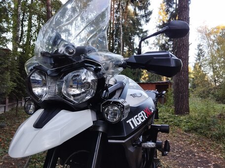 2015 Triumph Tiger 800, белый, 768000 рублей, вид 1