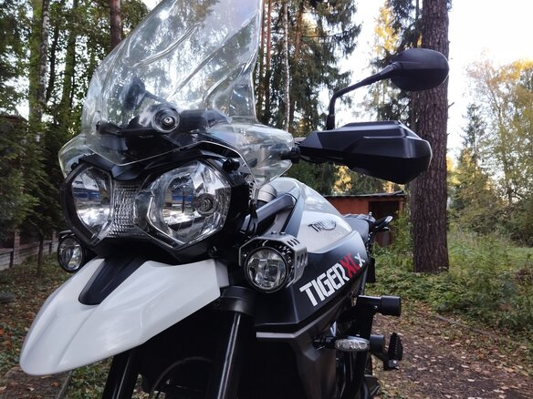 2015 Triumph Tiger 800, белый, 768000 рублей