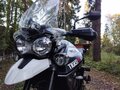 2015 Triumph Tiger 800, белый, 768000 рублей