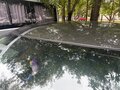 2010 Mazda 3 II (BL), серый, 720000 рублей - вид 9