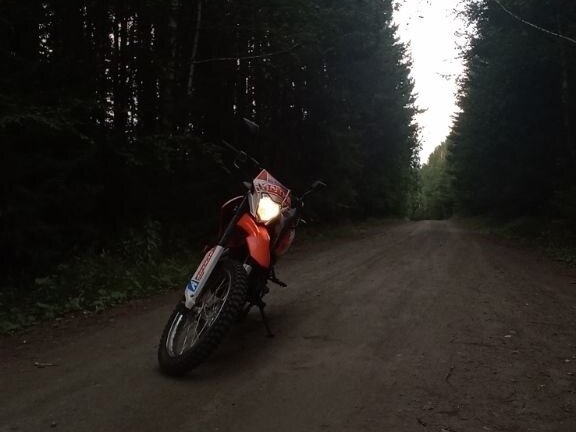 2023 Racer Panther, оранжевый, 120000 рублей