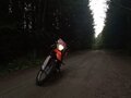 2023 Racer Panther, оранжевый, 120000 рублей