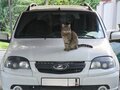 2020 Lada (ВАЗ) Niva, белый, 900000 рублей - вид 8