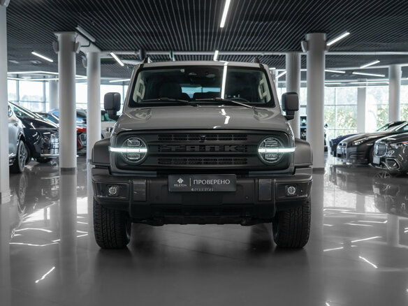 2024 Tank 300 I, серый, 3430000 рублей - вид 2