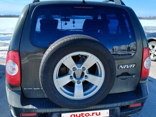 2010 Chevrolet Niva I Рестайлинг, коричневый, 550000 рублей, вид 4