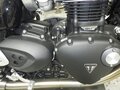 2024 Triumph Thruxton, зелёный, 1445000 рублей - вид 6