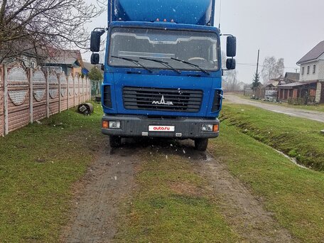 2010 МАЗ 4371, синий, 980000 рублей, вид 5