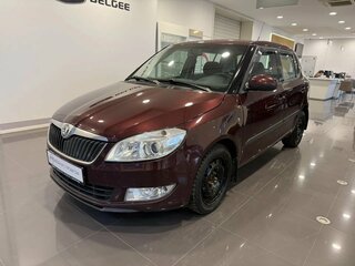2010 Skoda Fabia II, красный, 610000 рублей, вид 1