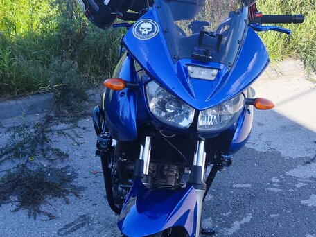 2003 Yamaha TDM900, синий, 460000 рублей, вид 2