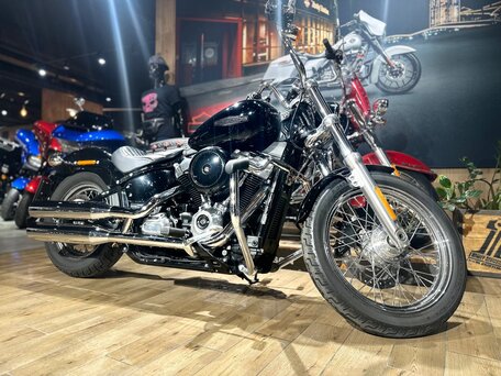 2021 Harley-Davidson Softail Standard, чёрный, 1850000 рублей, вид 2