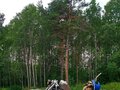 1996 Yamaha XVS400 Drag Star, чёрный, 450000 рублей - вид 11