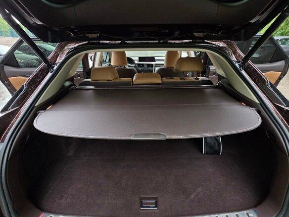 2019 Lexus RX 300 IV, коричневый, 4100000 рублей - вид 12