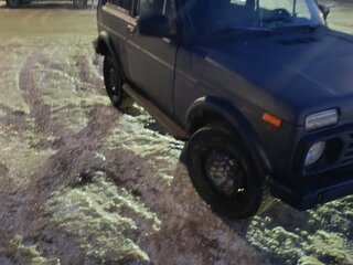 1988 Lada (ВАЗ) 2121 (4x4) I, серый, 230000 рублей, вид 3