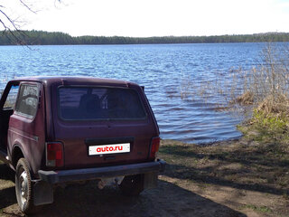 2001 Lada (ВАЗ) 2121 (4x4) I Рестайлинг, коричневый, 200000 рублей, вид 2