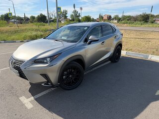 2020 Lexus NX 300 I Рестайлинг, серый, 3550000 рублей, вид 1