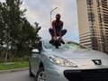 2007 Peugeot 307 I Рестайлинг, серебристый, 239000 рублей - вид 1