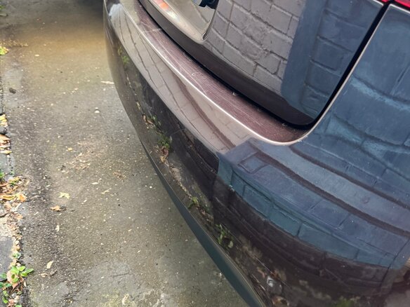 2010 Kia Cerato 5-speed II, пурпурный, 600000 рублей - вид 13