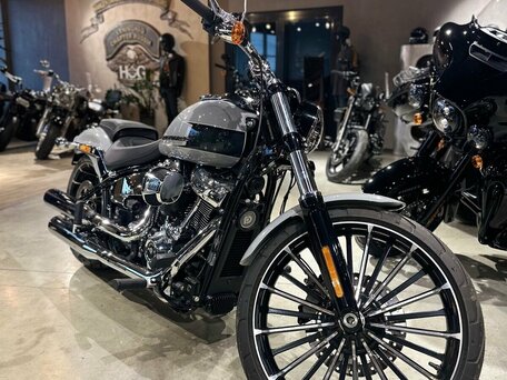 2024 Harley-Davidson Breakout, серый, 3990000 рублей, вид 2
