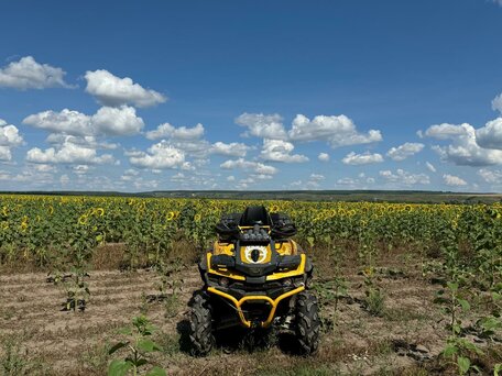 2021 Stels ATV-650 Guepard Trophy, жёлтый, 680000 рублей, вид 5