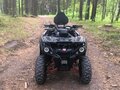 2025 Promax 320 DOMINATOR, чёрный, 290000 рублей