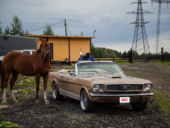 1966 Ford Mustang I, золотистый, 12500000 рублей - вид 10