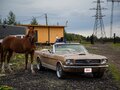 1966 Ford Mustang I, золотистый, 12500000 рублей - вид 10