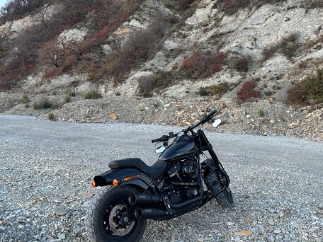 2018 Harley-Davidson Fat Bob, чёрный, 1500000 рублей, вид 4
