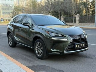 2021 Lexus NX 200 I Рестайлинг, зелёный, 3757000 рублей, вид 3