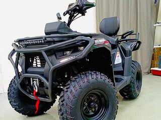2025 Другие ATV (другие), чёрный, 259900 рублей, вид 2