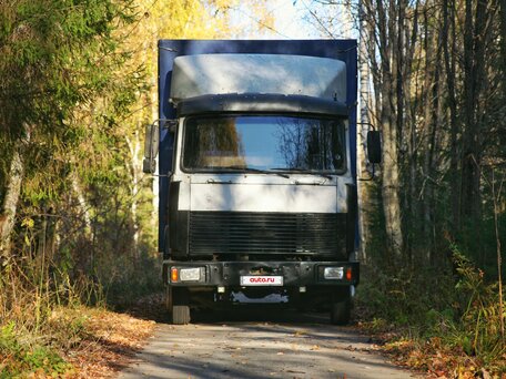 2003 МАЗ 4370, серый, 580000 рублей, вид 1