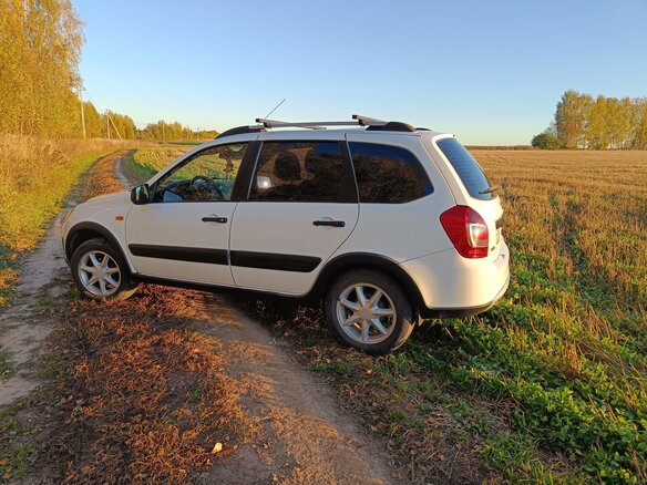 2014 Lada (ВАЗ) Kalina II, белый, 560000 рублей - вид 3