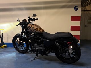 2019 Harley-Davidson Sportster 883, коричневый, 900000 рублей, вид 4