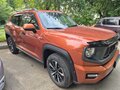 2025 Haval H7 I, оранжевый - вид 8