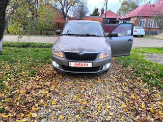 2010 Skoda Fabia II, серый, 590000 рублей, вид 2