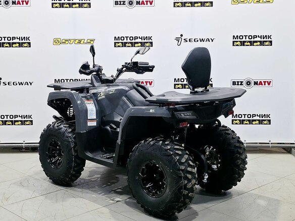 2025 Bison 250U, серый - вид 2