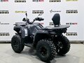 2025 Bison 250U, серый - вид 2