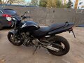 2000 Honda CB 600F Hornet, чёрный, 320000 рублей