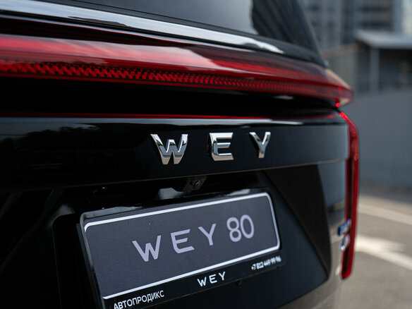 2025 Wey 80 37.96 kWh, зелёный - вид 9