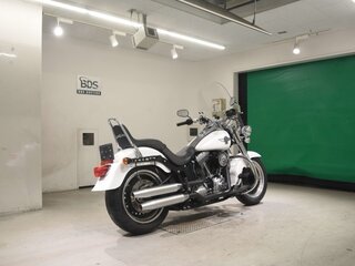 2011 Harley-Davidson Fat Boy, белый, 1164000 рублей, вид 5