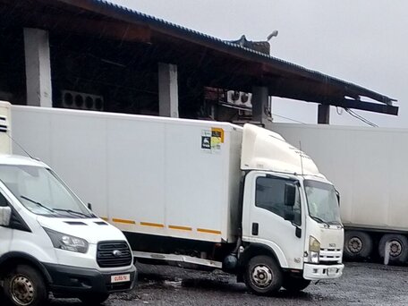 2017 Isuzu Elf (N-series), белый, 3300000 рублей, вид 1