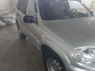 2010 Chevrolet Niva I Рестайлинг, серебристый, 550000 рублей, вид 4