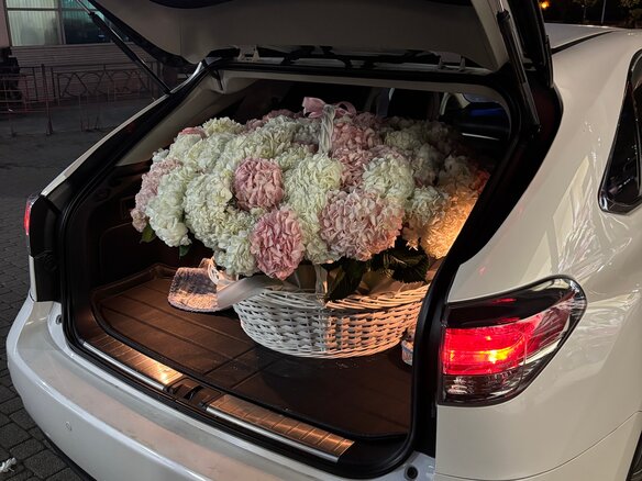 2014 Lexus RX 450h III Рестайлинг, белый, 3100000 рублей - вид 21