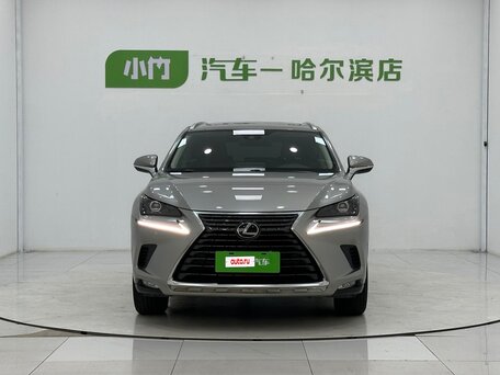 2021 Lexus NX 200 I Рестайлинг, серебристый, 2500000 рублей, вид 1