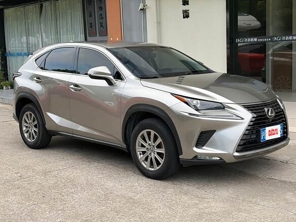 2020 Lexus NX 200 I Рестайлинг, серебристый - вид 1