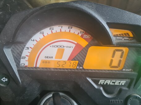 2015 Racer Nitro, коричневый, 110000 рублей, вид 2