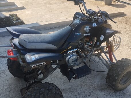 2013 Termit Libre, чёрный, 55000 рублей, вид 4