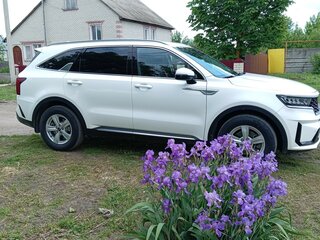 2022 Kia Sorento IV, белый, 3800000 рублей, вид 4