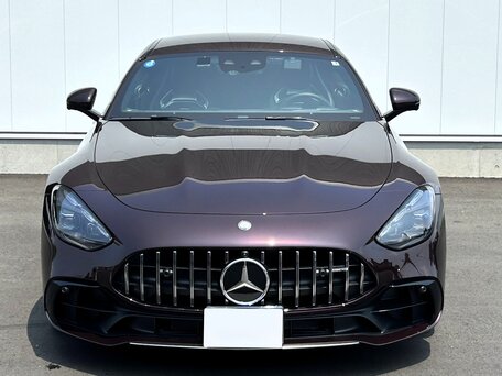 2024 Mercedes-Benz AMG GT 43 II, красный, 14000000 рублей, вид 2